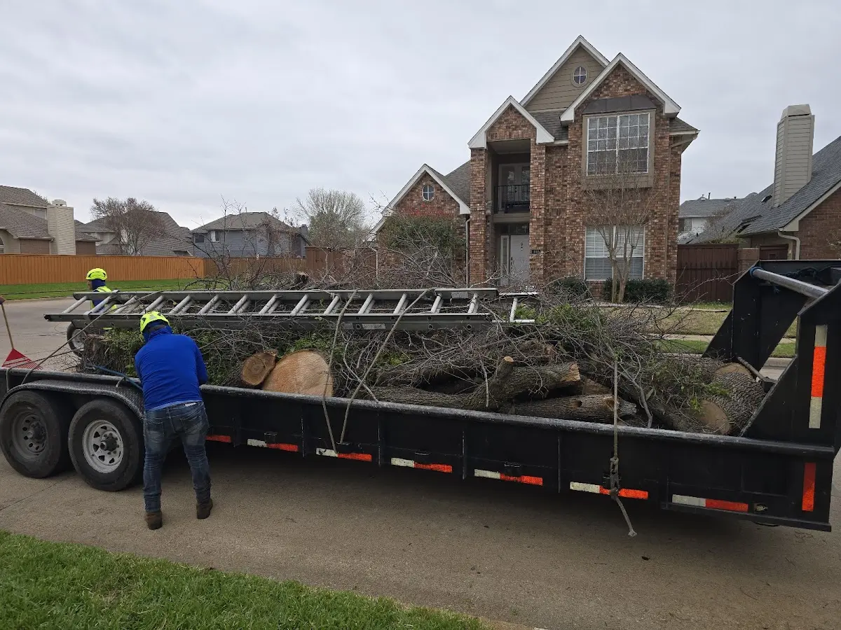 Expert Tree Pest Control with proper safety equipment in Montrose